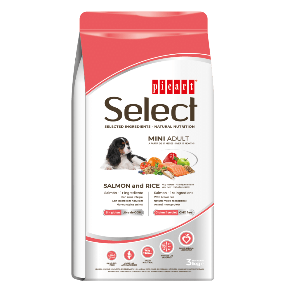Picart Select Mini Adult Salmon & Rice