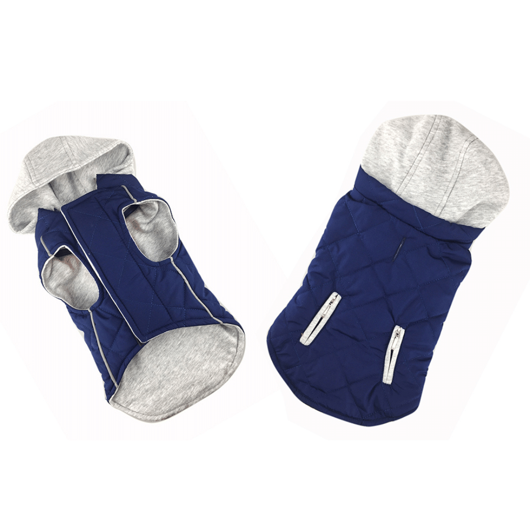 Pet Interest Sportive Jacket with Hood Blue
