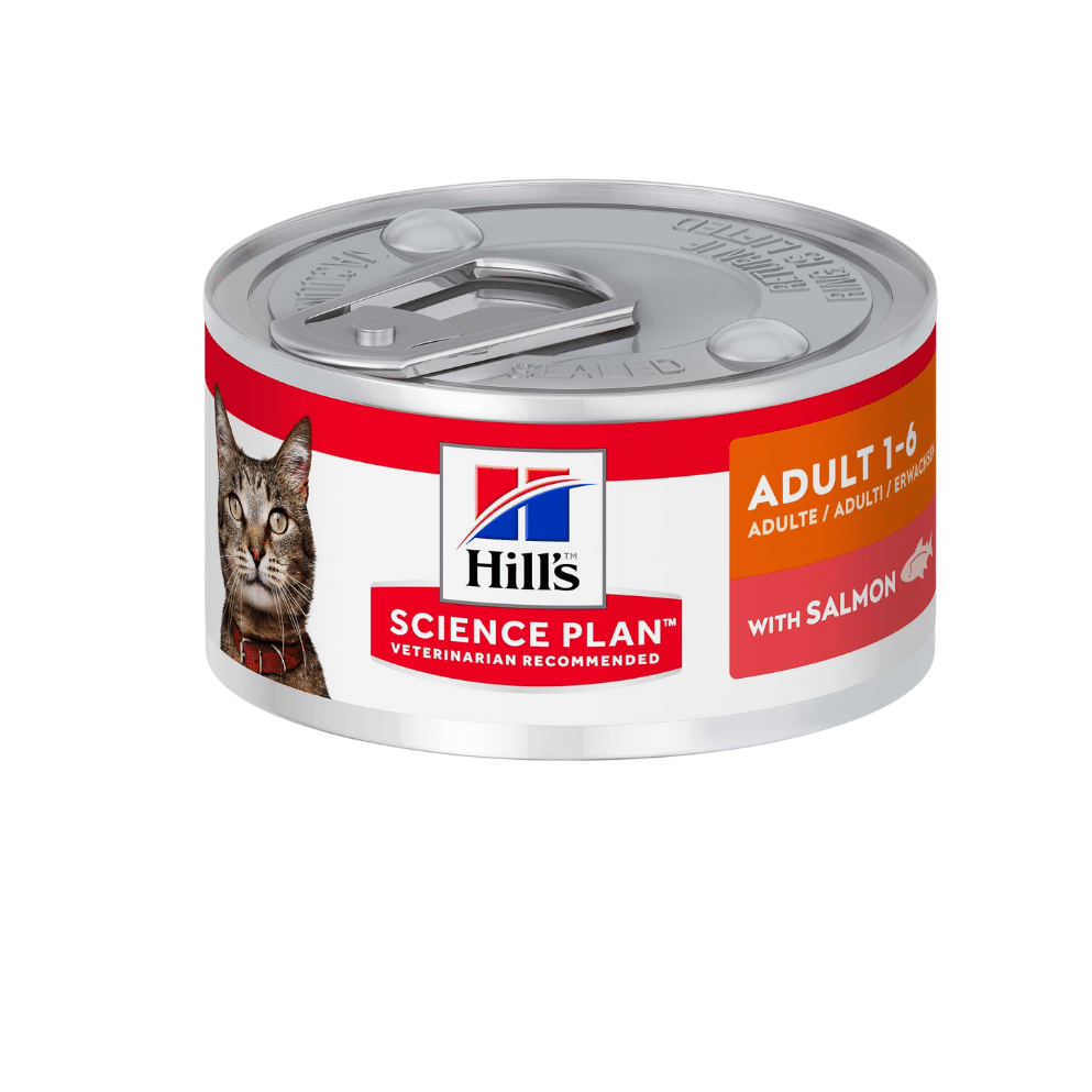 Hills Adult Salmon Can 82g