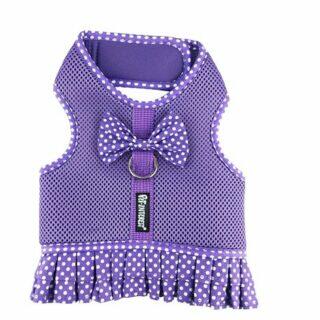 Dots Mesh Harness with Skirt