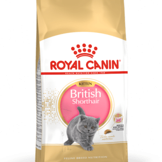 Royal Canin British Shorthair Kitten 2Kg