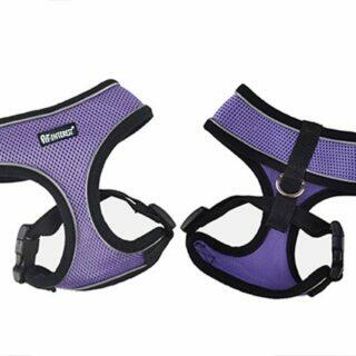 Mesh Harness with Reflective Piping