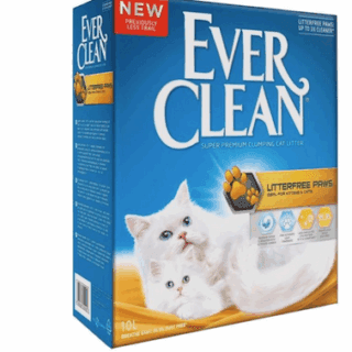 Ever Clean Arena Less Trail