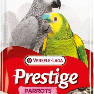 PARROTS 1KG