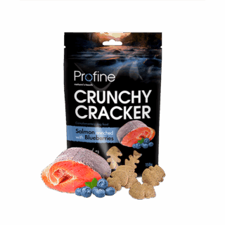 Crunchy Cracker Salmon enriched with Blueberries