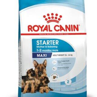 Royal Canin Maxi Starter