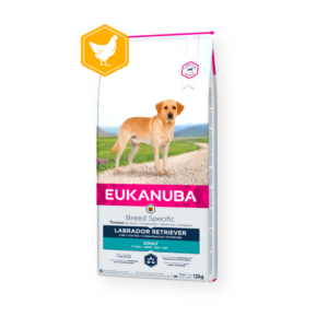 Eukanuba Labrador Retriever Adult 12Kg