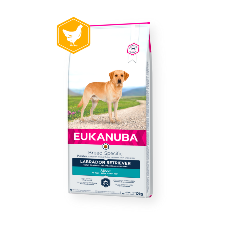 Eukanuba Labrador Retriever Adult 12Kg